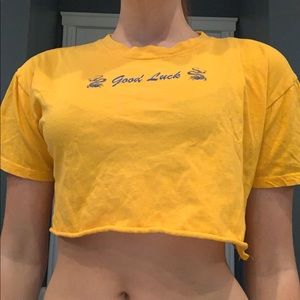 Zumiez croptop
